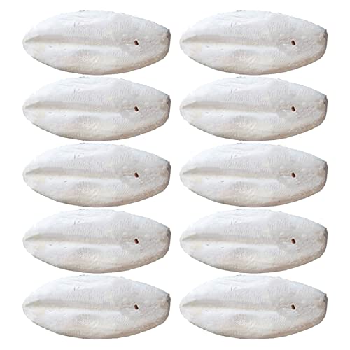 BNOSDM Bird Cuttlebone Chew Toy Cuttlefish Bones Parrot Cage Toys Bite for Cockatiels Parakeets Budgies Finches Canaries Lovebirds Small Conures Mynahs Toucans African Greys 10PCS