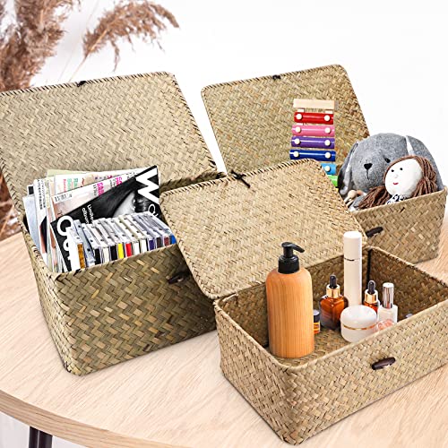 MoYouno Natural Seagrass Storage Baskets with Lid, Seaweed Woven Basket Storage Box Set of 4, Handwoven Seagrass Rattan Storage Box for Home Organizer (little green)