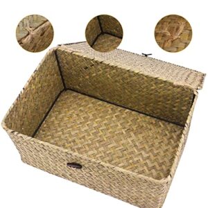 MoYouno Natural Seagrass Storage Baskets with Lid, Seaweed Woven Basket Storage Box Set of 4, Handwoven Seagrass Rattan Storage Box for Home Organizer (little green)