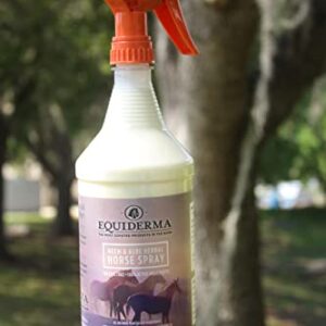 Tack Shack of Ocala Equiderma Products- Equiderma Skin Lotion, Equiderma Dry Shampoo, Equiderma Outdoor Spray- Coat Care Products for Horses (Equiderma Outdoor Spray)