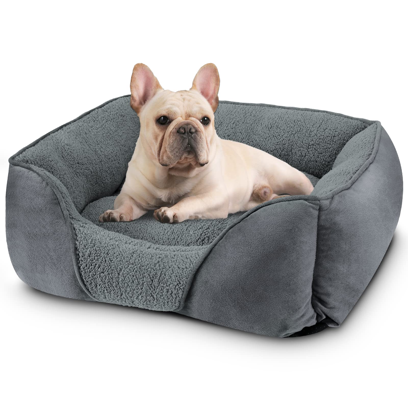 FURTIME Small Dog Beds for Small Dogs, Washable Dog Bed Orthopedic Rectangle Puppy Pet Bed, Durable Calming Dog Sofa Bed Soft Sleeping with Anti-Slip Bottom S (20"x19"x6")