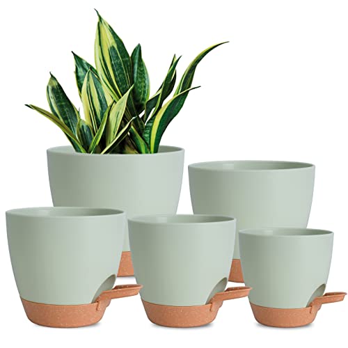 Vanslogreen Plant Pots Indoor 7/6.5/6/5.5/5 Inch Self Watering Planters for Indoor Plants with Drainage Hole, Plastic Flower Pot for Succulents, African Violet (Green)