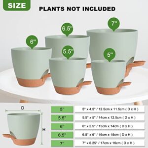 Vanslogreen Plant Pots Indoor 7/6.5/6/5.5/5 Inch Self Watering Planters for Indoor Plants with Drainage Hole, Plastic Flower Pot for Succulents, African Violet (Green)