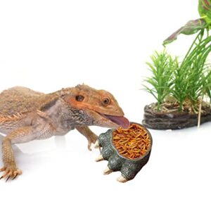 BNOSDM 2 Pack Reptile Food Bowls Amphibian Feeding Resin Dish,Reptile Tank Decor Bowl for Lizards, Chameleon, Leopard Gecko, Frog, Bearded Dragons, Snake, Hermit Crabs, Turtle Spider Pet