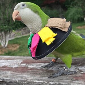 Adjustable Bird Collar Anti Bite Elizabethan Recovery Cone, Bird Neck Protector for Feather Plucking, Skin-Friendly Bird Neckwear Full Body Shield for Parakeet Conure Cockatiel (M)