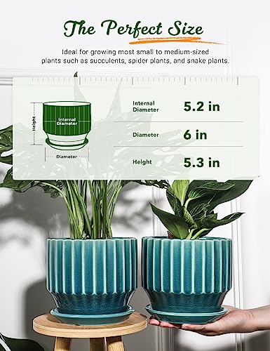 AISBUGUR Plant Pots 6 inch Ceramic Pots for Indoor Plants Set of 2 Flower Pots Unique Crackle Glaze Design Plant Pots with Drainage Hole and Saucer Come with Drainage Nets (Aqua Green)