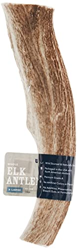 Amazon Brand - Wag Elk Antler - Whole - X-Large 9.5-10.5 inches (Best for Dogs over 45 lbs)