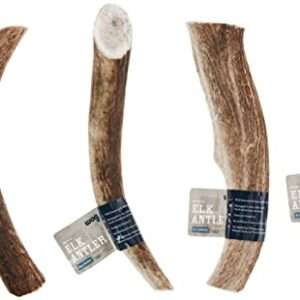 Amazon Brand - Wag Elk Antler - Whole - X-Large 9.5-10.5 inches (Best for Dogs over 45 lbs)