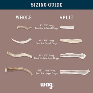 Amazon Brand - Wag Elk Antler - Whole - X-Large 9.5-10.5 inches (Best for Dogs over 45 lbs)