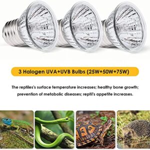 Reptile Heat Lamp, Basking Spot Lamp, UVA UVB Reptile Light Fixture with 360° Rotatable Clips and Dimmable Switch for Aquarium Turtle Lizard Snake Chameleons Amphibians (1 Fixture+3 Bulbs, 25/50/75W)