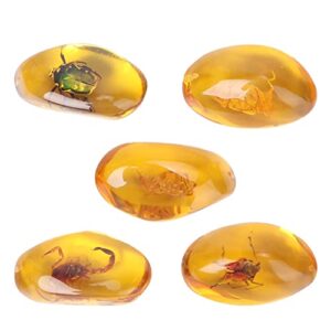 fomiyes 5pcs amber fossil artificial amber samples stones crystal specimens collection pendant (random pattern)