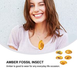 FOMIYES 5pcs Amber Fossil Artificial Amber Samples Stones Crystal Specimens Collection Pendant (Random Pattern)