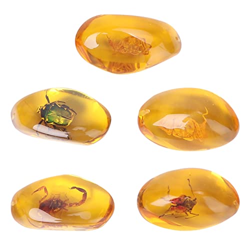 FOMIYES 5pcs Amber Fossil Artificial Amber Samples Stones Crystal Specimens Collection Pendant (Random Pattern)