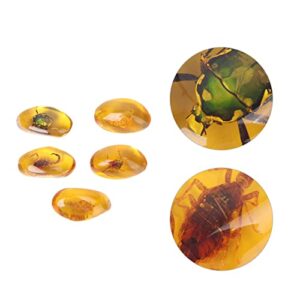 FOMIYES 5pcs Amber Fossil Artificial Amber Samples Stones Crystal Specimens Collection Pendant (Random Pattern)