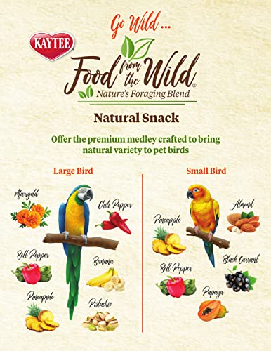 Kaytee Food From The Wild Natural Pet Bird Snack Food Treats For Parakeets, Cockatiels, Lovebirds, and Small Conures, 3 oz