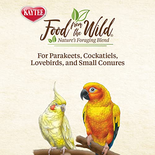 Kaytee Food From The Wild Natural Pet Bird Snack Food Treats For Parakeets, Cockatiels, Lovebirds, and Small Conures, 3 oz