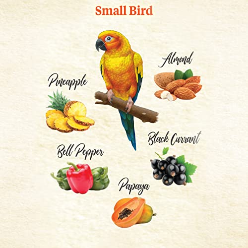 Kaytee Food From The Wild Natural Pet Bird Snack Food Treats For Parakeets, Cockatiels, Lovebirds, and Small Conures, 3 oz