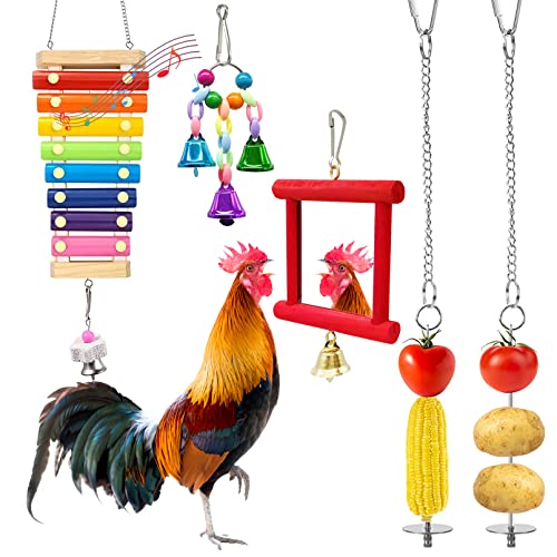 BNOSDM 5 Pieces Chicken Xylophone Toys Chicken Mirror Toy Chick Veggies Skewer Vegetable Hanging Feeder Coop Accessories Chicken Coop Toys for Hens Roosters Birds