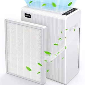 e-300l air purifier and filter combo set, air purifiers for home large room h13 true hepa filter ultra-quiet air cleaner for dust pet dander smoke,pollen for bedroom and office