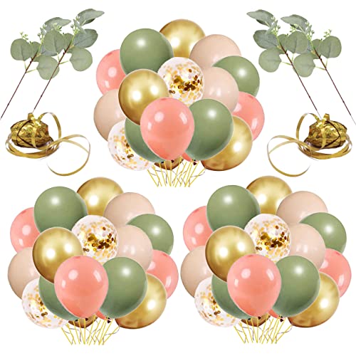 Artificial Eucalyptus Leaves Sage Green Blush And Confetti Gold Balloons, 59Pcs Sage Green Gold Pink Blush Nude Balloons with Artificial Eucalyptus for Baby Bridal Shower Birthday Safari And Sage Party Decorations Supplies