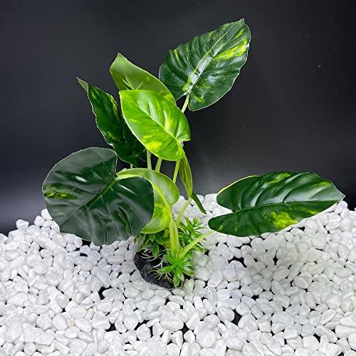 Smoothedo-Pets Aquarium Plants Fish Tank Decorations Plastic Artificial Plant Goldfish Waterscape Betta Fish Hides/Rest (Rainforest Leaf)