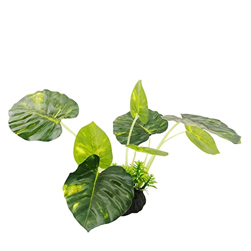 Smoothedo-Pets Aquarium Plants Fish Tank Decorations Plastic Artificial Plant Goldfish Waterscape Betta Fish Hides/Rest (Rainforest Leaf)