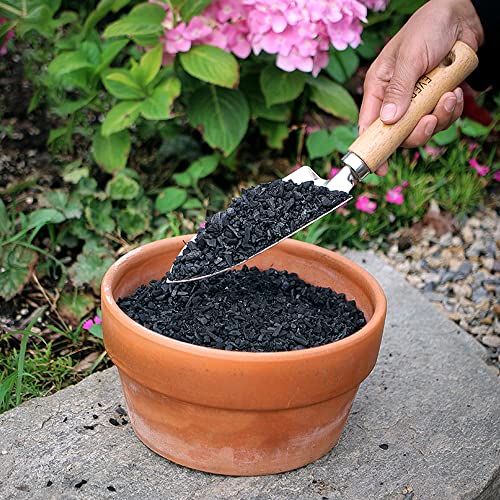 Horticultural Charcoal for Plants 1 qt by Doter, All Natural Hardwood Charcoal, Activated Charcoal for Soil Amendment, Orchids, Terrariums, and Gardening