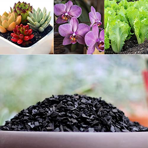 Horticultural Charcoal for Plants 1 qt by Doter, All Natural Hardwood Charcoal, Activated Charcoal for Soil Amendment, Orchids, Terrariums, and Gardening