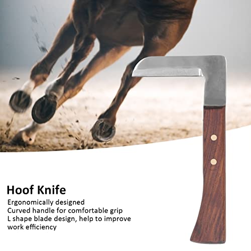 L Shape Hoof Knife, 7.8 in Sharp Ergonomic Curved Wooden Handle Left Right Handed High Hardness Steel Hoof Knife, Durable Practical Livestock Hand Hoof Trimming Tool for Farm Horse Cattle Goat(Right)