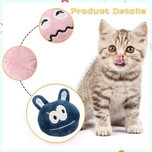 Pai Sence 6pcs/Pack Catnip Toys Soft Plush Cat Toys Cute Kitten Toys Interactive Cat Toys with Catnip for Indoor Cats Kitten Kitty