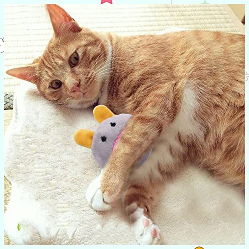 Pai Sence 6pcs/Pack Catnip Toys Soft Plush Cat Toys Cute Kitten Toys Interactive Cat Toys with Catnip for Indoor Cats Kitten Kitty