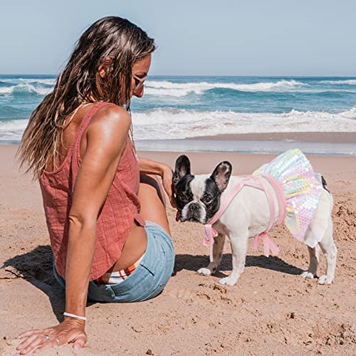 Duojoy Dog Bikini Dress with Sequins&Chiffon, Mermaid Colorful Puppy Beach Swimsuit, Small Medium Doggie Cat Summer Bathing Suit, Dog Tutu Dresses Pet Stylish Clothes Costume for Pool-M