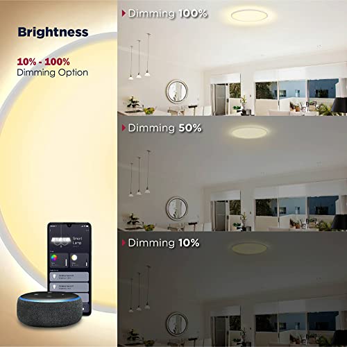 BestLuz Smart Ceiling Light Front RGBW 3000K 12 inch Flush Mount Ceiling Light Dimmable Alexa/Google Assistant/App Control Color Changing LED Ceiling Light Fixture for Living Room & Bedroom