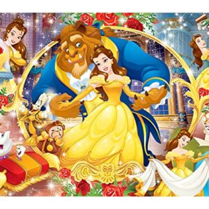 Beauty and The Beast Backdrop,7x5 FT Princess Belle Banner Princess Belle Background Beauty and The Beast Theme Birthday Party Backdrop Supplies & Decor for Girls