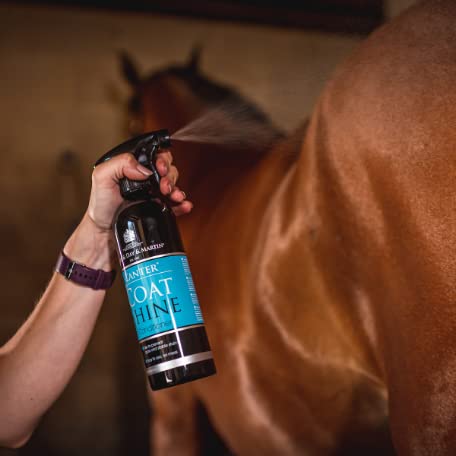 Tack Shack of Ocala- Carr & Day & Martin Canter Mane & Tail Spray and Canter Coat Shine Spray for Horses (Canter Coat Shine)