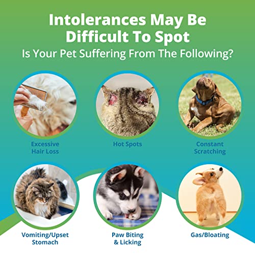 5Strands Pet Raw Food Intolerance & Environmental Sensitivity Test, at Home Test for Dogs & Cats, Hair Sample Collection Kit, All Ages and Breed, Results in 7 Days