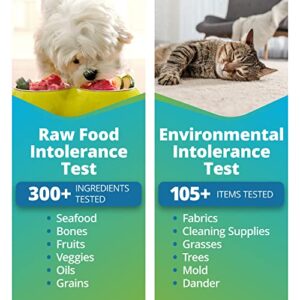 5Strands Pet Raw Food Intolerance & Environmental Sensitivity Test, at Home Test for Dogs & Cats, Hair Sample Collection Kit, All Ages and Breed, Results in 7 Days