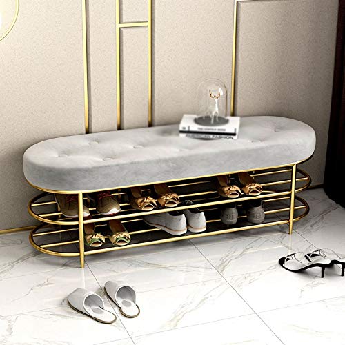 TAZSJG Shoe Stool with 2 Layers Shoe Rack Shelf Sofa Cushion Entrance Door Shoe Cabinet Shoe Stool Storage Stool (Color : A)