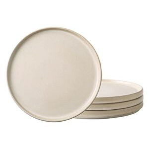 amorarc stoneware dinner plates set of 4, 10.25 inch reactive matte glaze ceramic plates set, modern dinnerware dish set for kitchen,microwave, dishwasher safe, scratch resistant - ivory