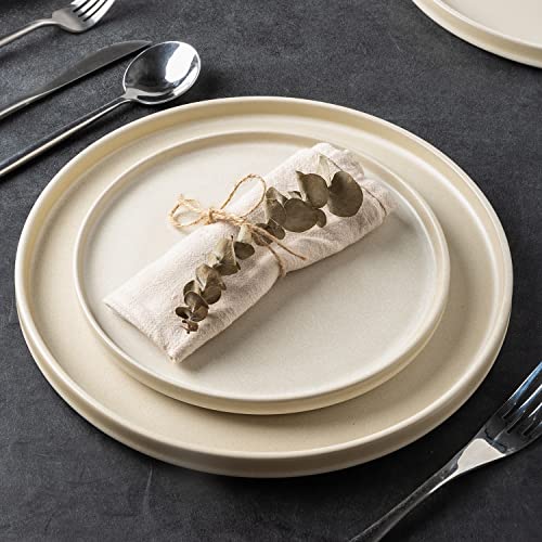 AmorArc Stoneware Dinner Plates Set of 4, 10.25 Inch Reactive Matte Glaze Ceramic Plates Set, Modern Dinnerware Dish set for Kitchen,Microwave, Dishwasher Safe, Scratch Resistant - Ivory