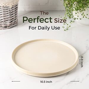 AmorArc Stoneware Dinner Plates Set of 4, 10.25 Inch Reactive Matte Glaze Ceramic Plates Set, Modern Dinnerware Dish set for Kitchen,Microwave, Dishwasher Safe, Scratch Resistant - Ivory