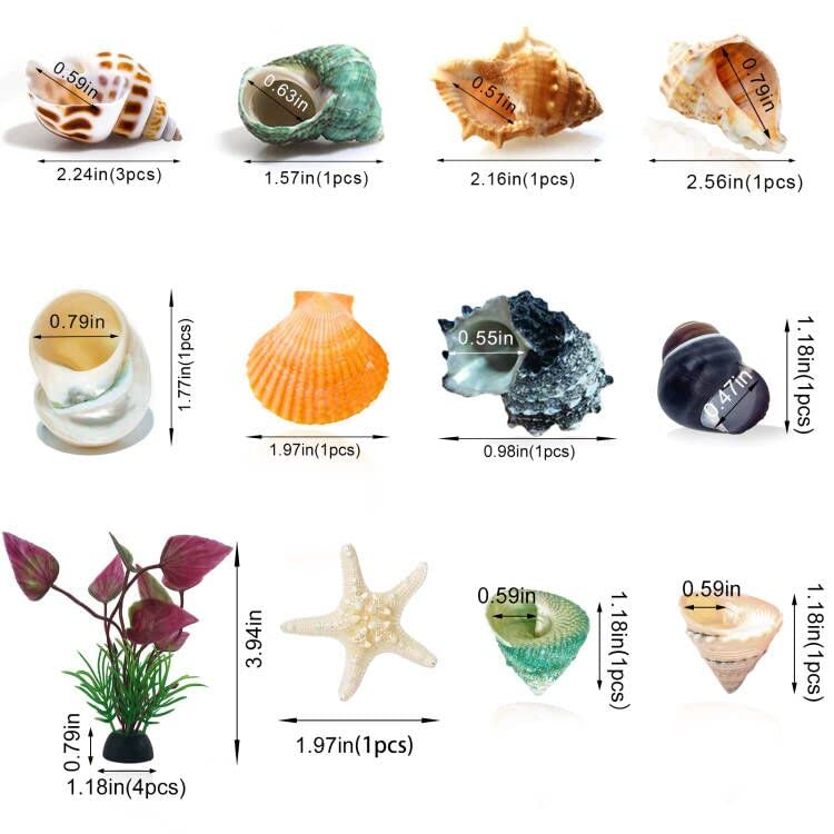 Hermit Crab Shells Small to Medium 1/2-3/4 Inches Assorted Opening Sizes Natural Turbo Shells No Painted Snail Seashells 11pcs with Artificial Plants Starfish and Decorations