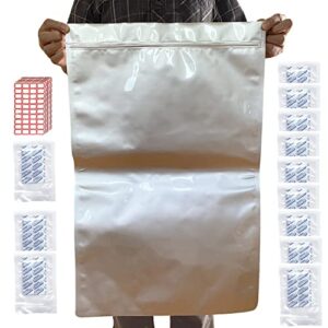 20 pack 15 mil mylar bags for food storage 5 gallon mylar bags with oxygen absorbers 30 individual 2500cc bolsas mylar con absorbentes gal myler resealable o2 para guardar alimentos bolsas absorbentes