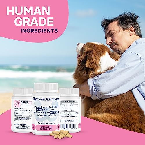 SilymarinAdvanced Liver Health Supplement for Large Dogs Combining S-Adenosylmethionine (Same) and Silybin, Liver Tablets, Cognitive Support, Pet Essentials & Wellbeing, 30 Tablets