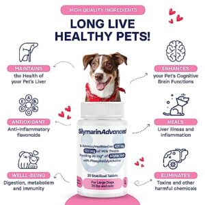 SilymarinAdvanced Liver Health Supplement for Large Dogs Combining S-Adenosylmethionine (Same) and Silybin, Liver Tablets, Cognitive Support, Pet Essentials & Wellbeing, 30 Tablets