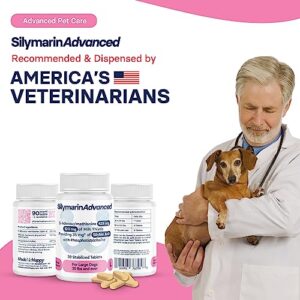 SilymarinAdvanced Liver Health Supplement for Large Dogs Combining S-Adenosylmethionine (Same) and Silybin, Liver Tablets, Cognitive Support, Pet Essentials & Wellbeing, 30 Tablets