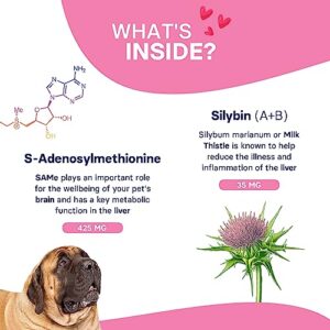 SilymarinAdvanced Liver Health Supplement for Large Dogs Combining S-Adenosylmethionine (Same) and Silybin, Liver Tablets, Cognitive Support, Pet Essentials & Wellbeing, 30 Tablets