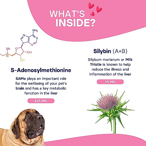 SilymarinAdvanced Liver Health Supplement for Large Dogs Combining S-Adenosylmethionine (Same) and Silybin, Liver Tablets, Cognitive Support, Pet Essentials & Wellbeing, 30 Tablets