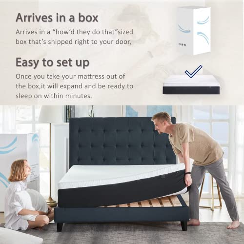 Mllyczoe 12 Inch Gel Memory Foam-Mattress – Firm Feel – Gel Infusion – Hypoallergenic Bamboo Charcoal – Breathable-Cover