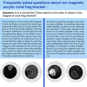 Aquarium Choice Coral Plug Holder M Coral frag Rack Magnetic Holder Reef Magnets Holder for frag Rack with 7 Coral frag Plug Base